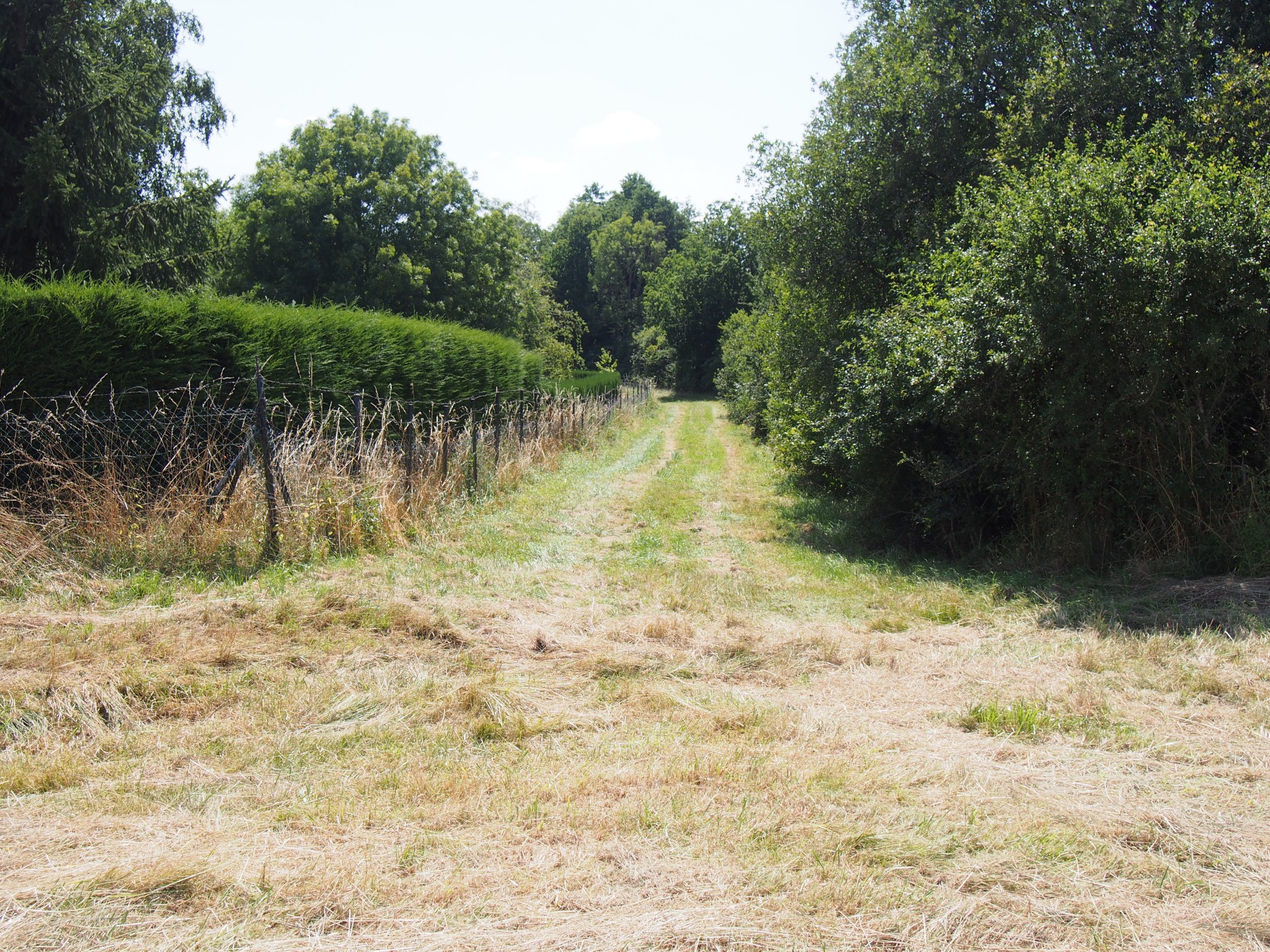 Vente Maison à la Loupe 2 pièces