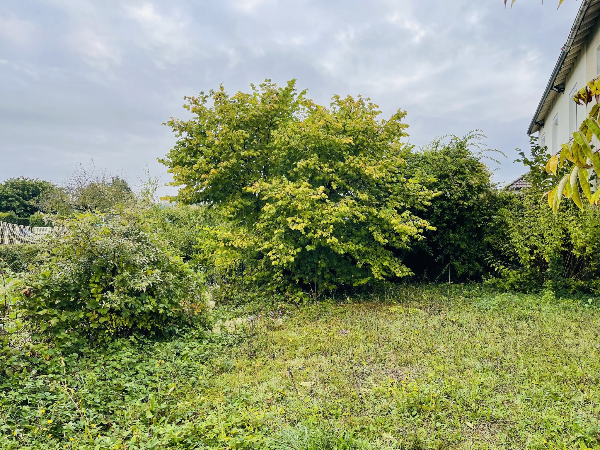 Vente Maison à Poitiers 7 pièces