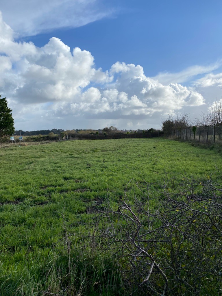 Vente Terrain à Saint-Hilaire-de-Riez 0 pièce