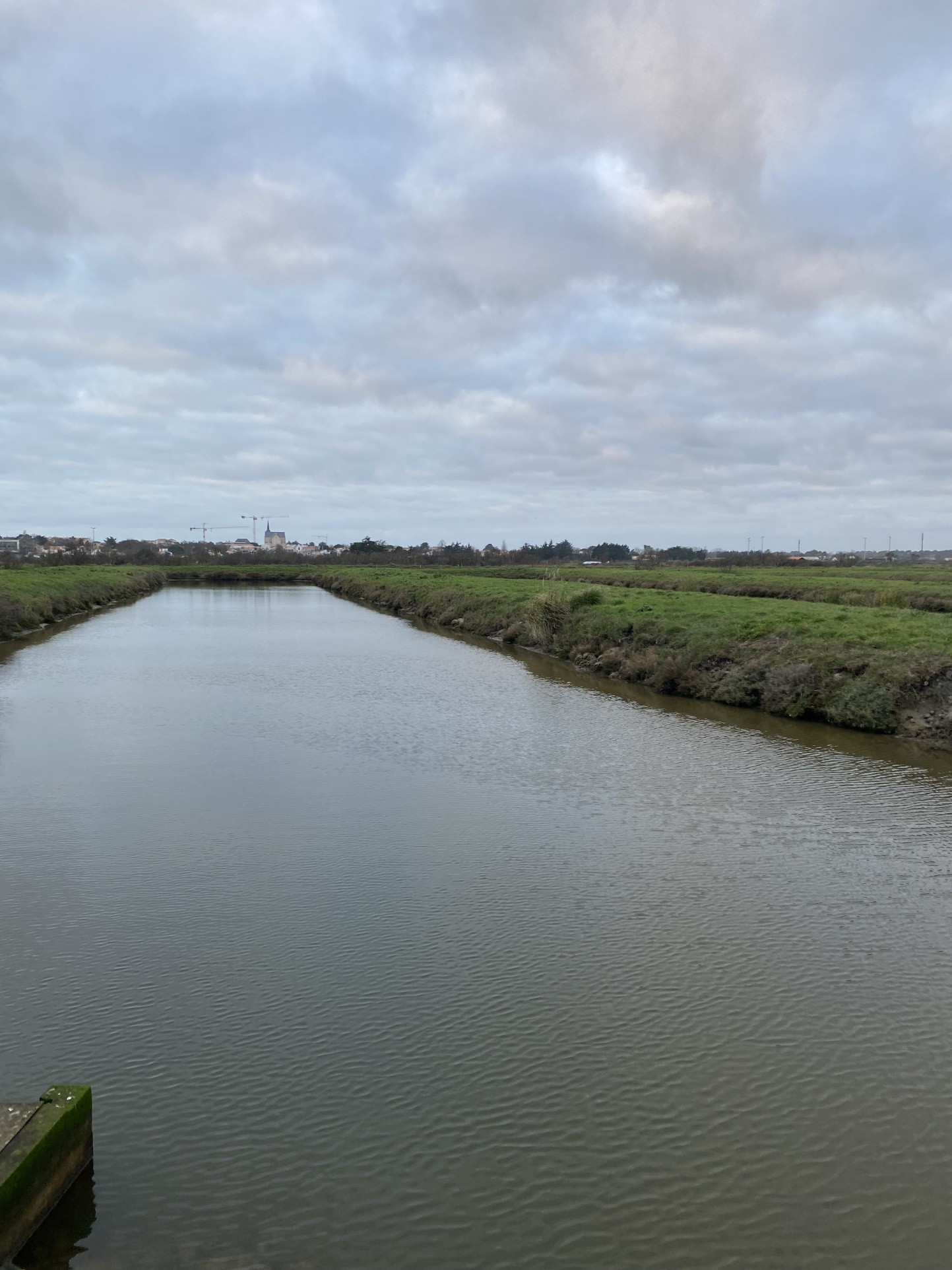 Vente Terrain à Saint-Hilaire-de-Riez 0 pièce