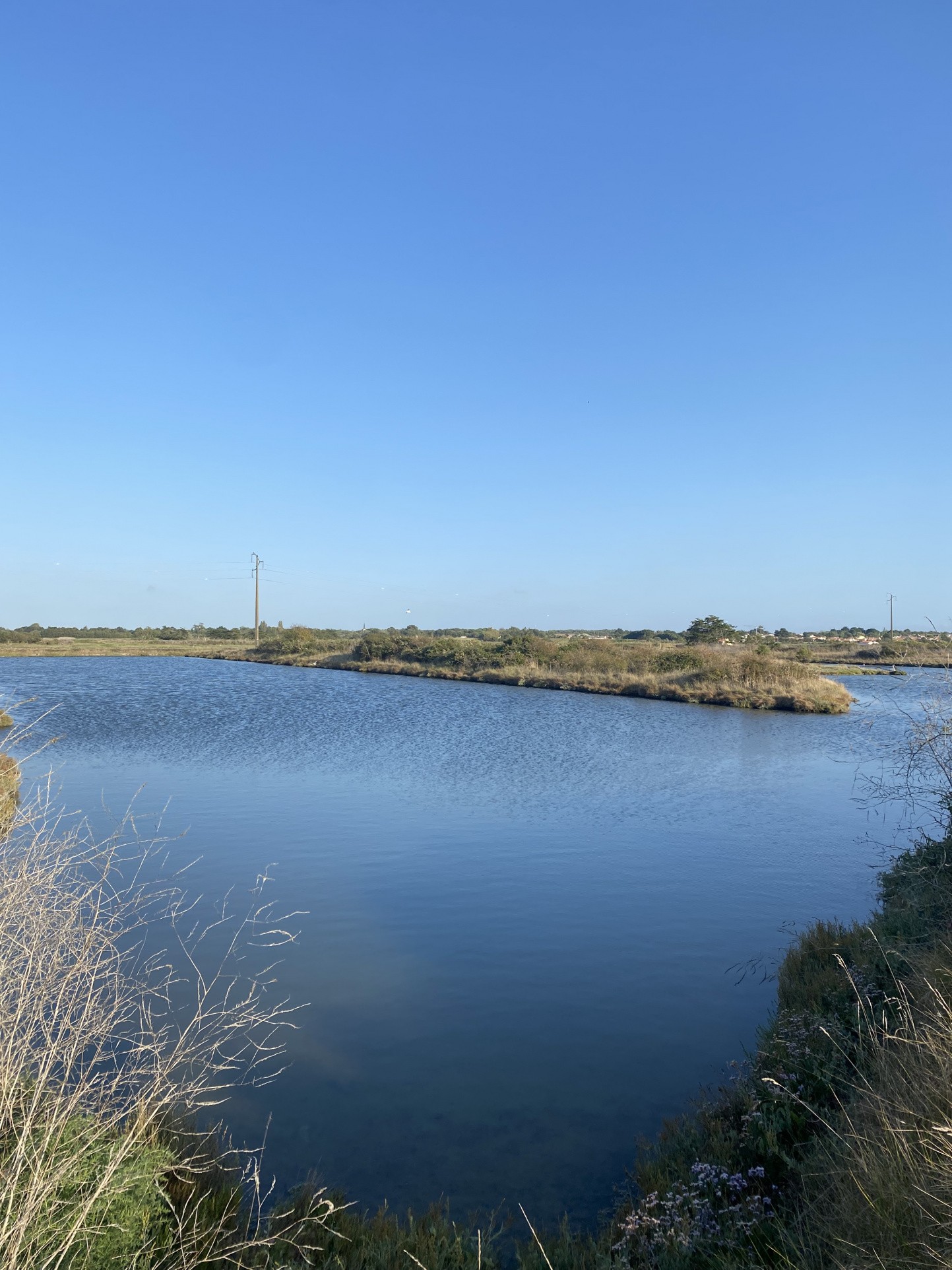 Vente Terrain à Saint-Hilaire-de-Riez 0 pièce