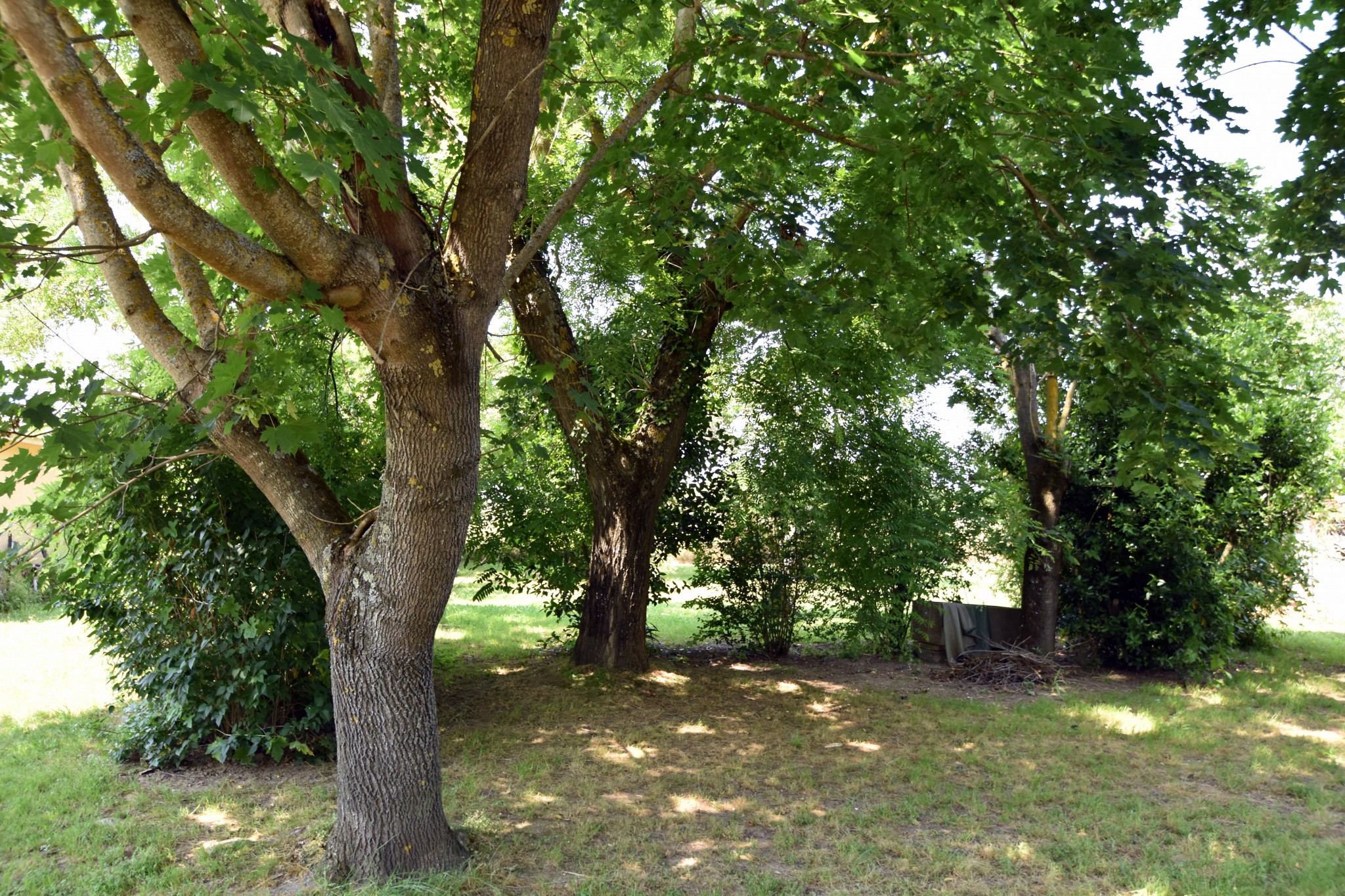 Vente Maison à Labastide-Saint-Pierre 3 pièces