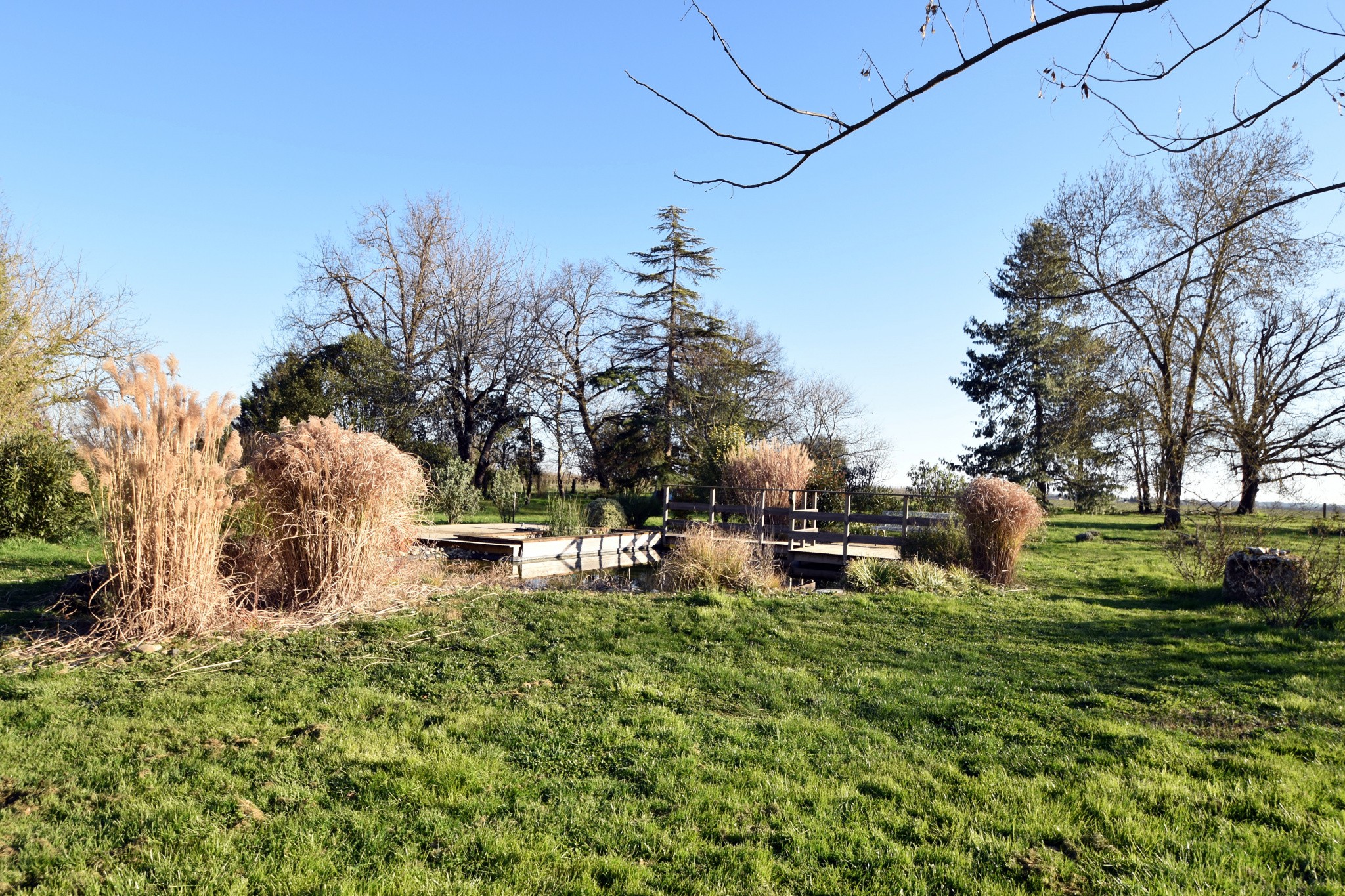 Vente Maison à Saint-Nicolas-de-la-Grave 8 pièces