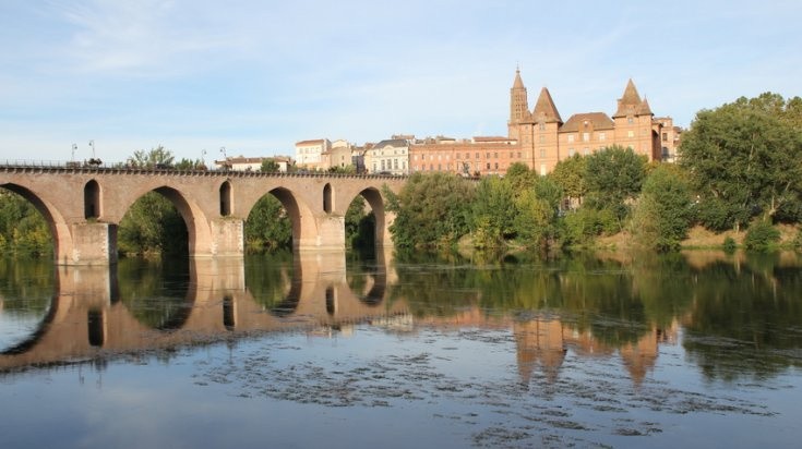 Vente Terrain à Montauban 0 pièce