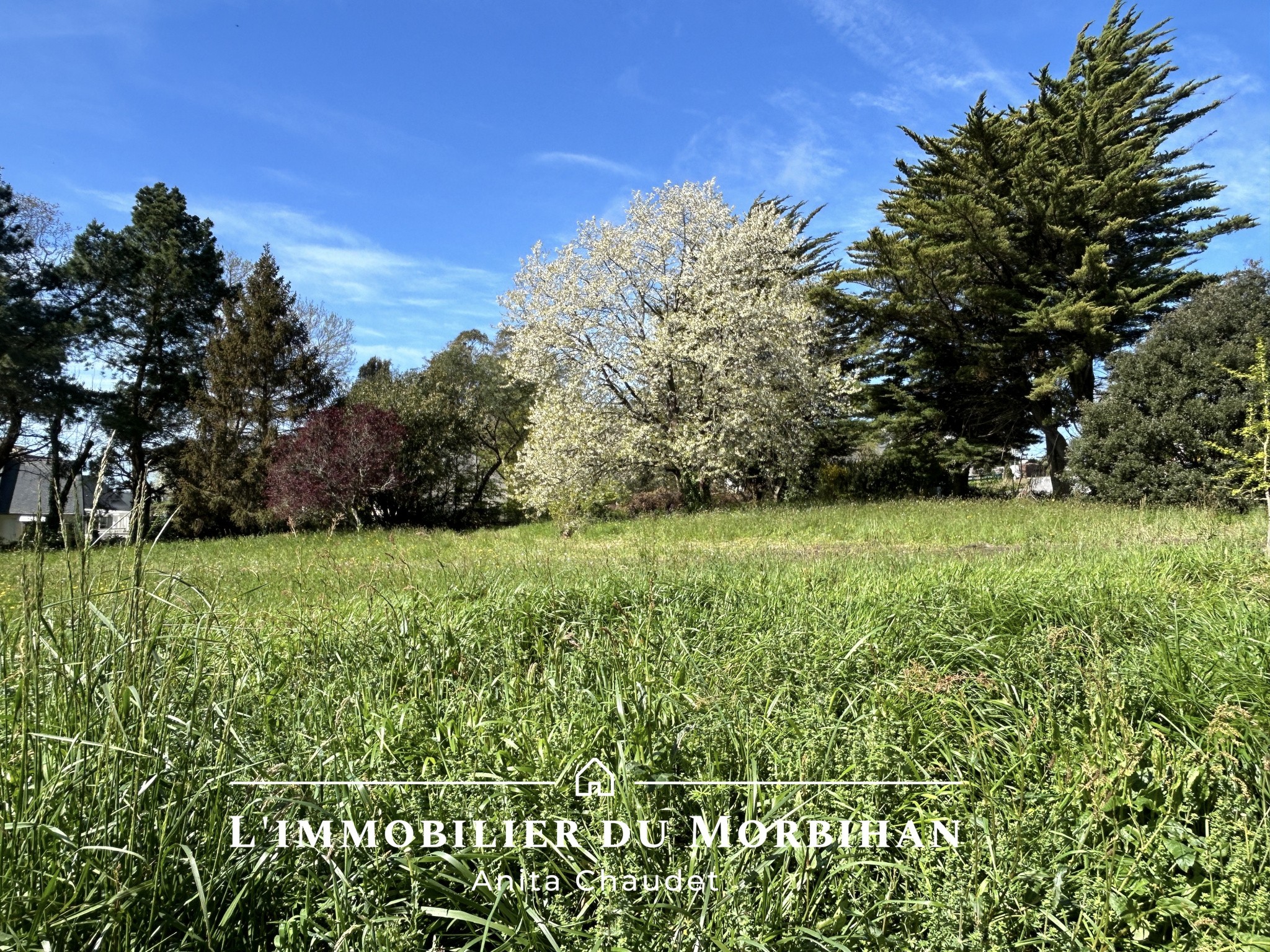 Vente Terrain à Rennes 0 pièce