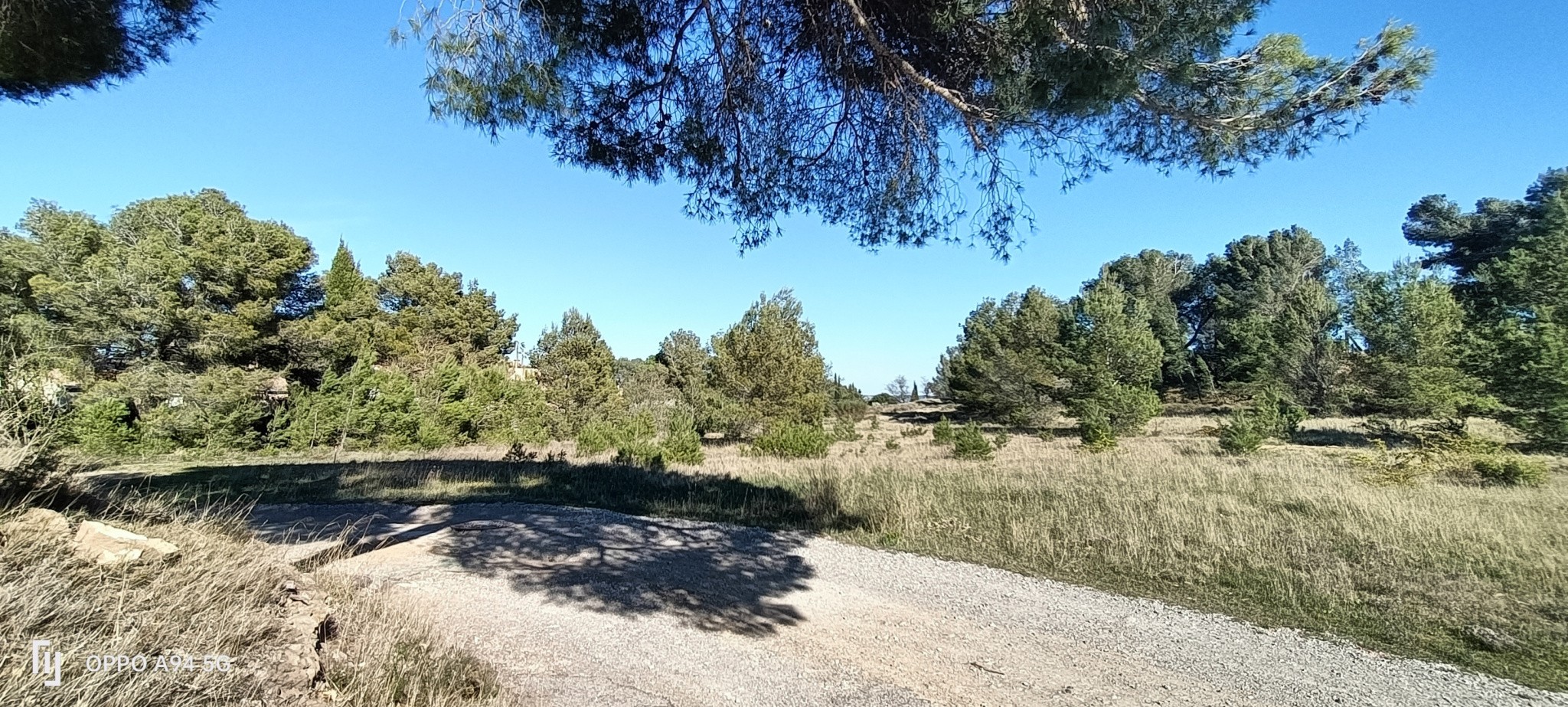 Vente Terrain à Lézignan-Corbières 0 pièce