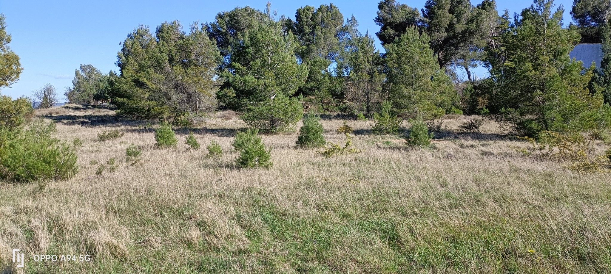 Vente Terrain à Lézignan-Corbières 0 pièce