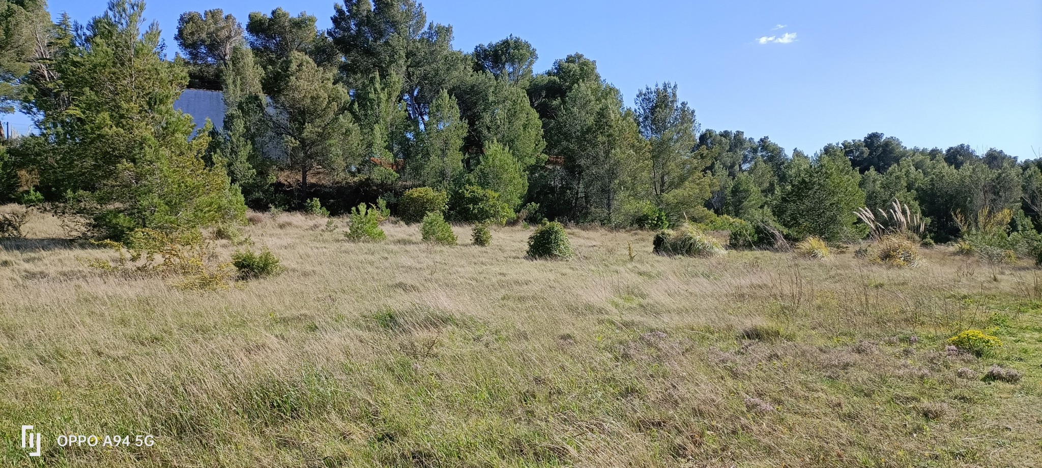 Vente Terrain à Lézignan-Corbières 0 pièce