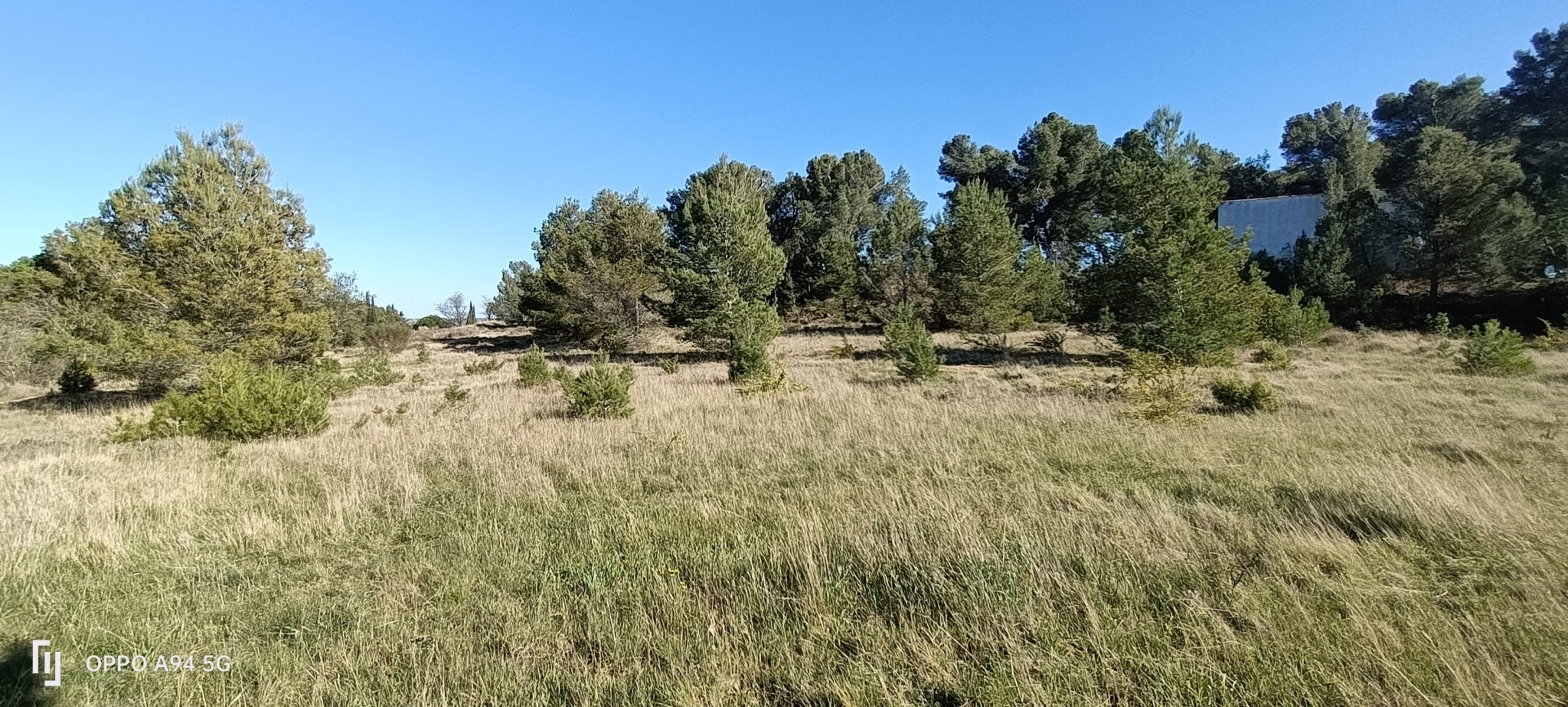 Vente Terrain à Lézignan-Corbières 0 pièce