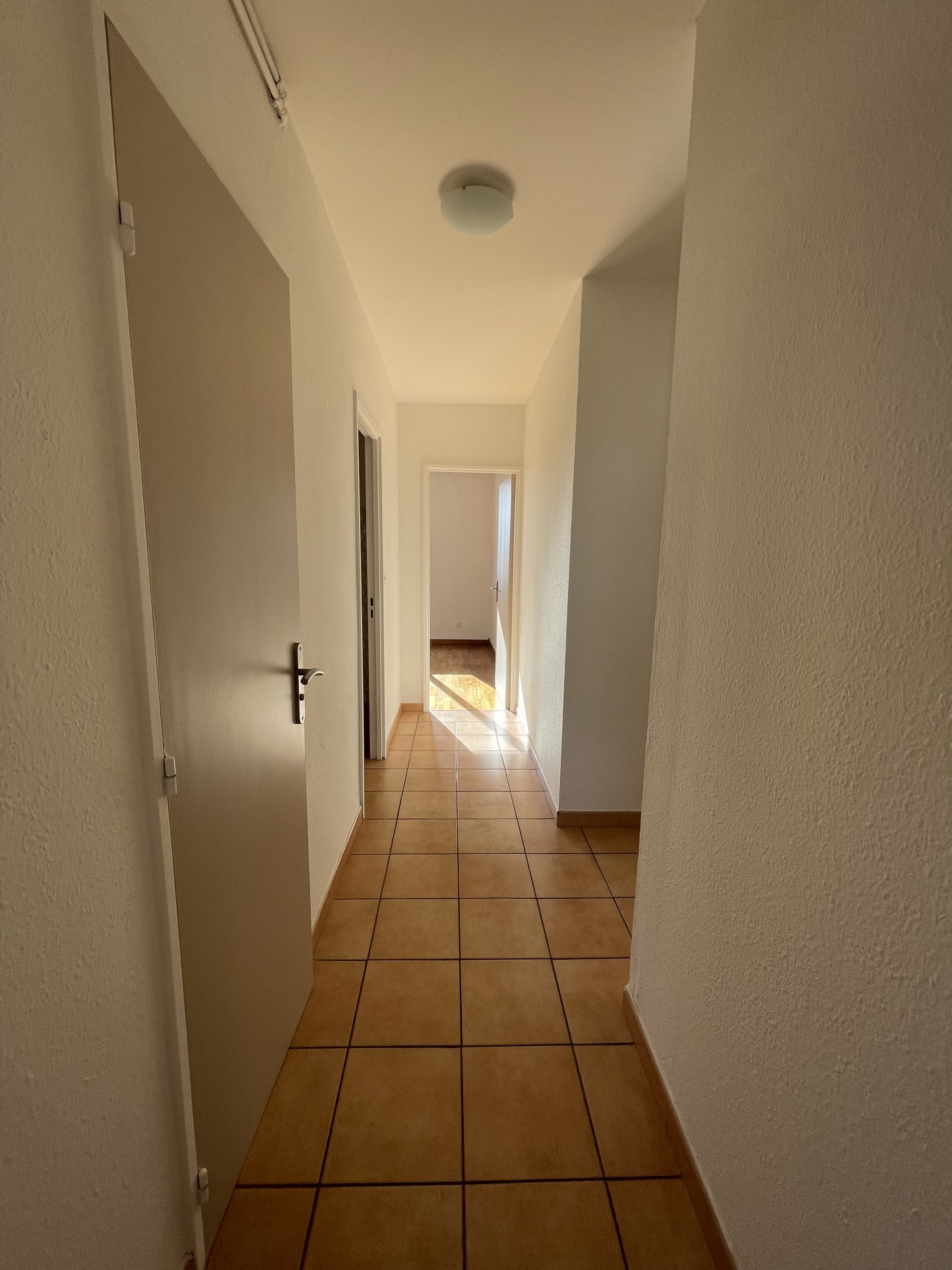 Vente Appartement à Avignon 3 pièces