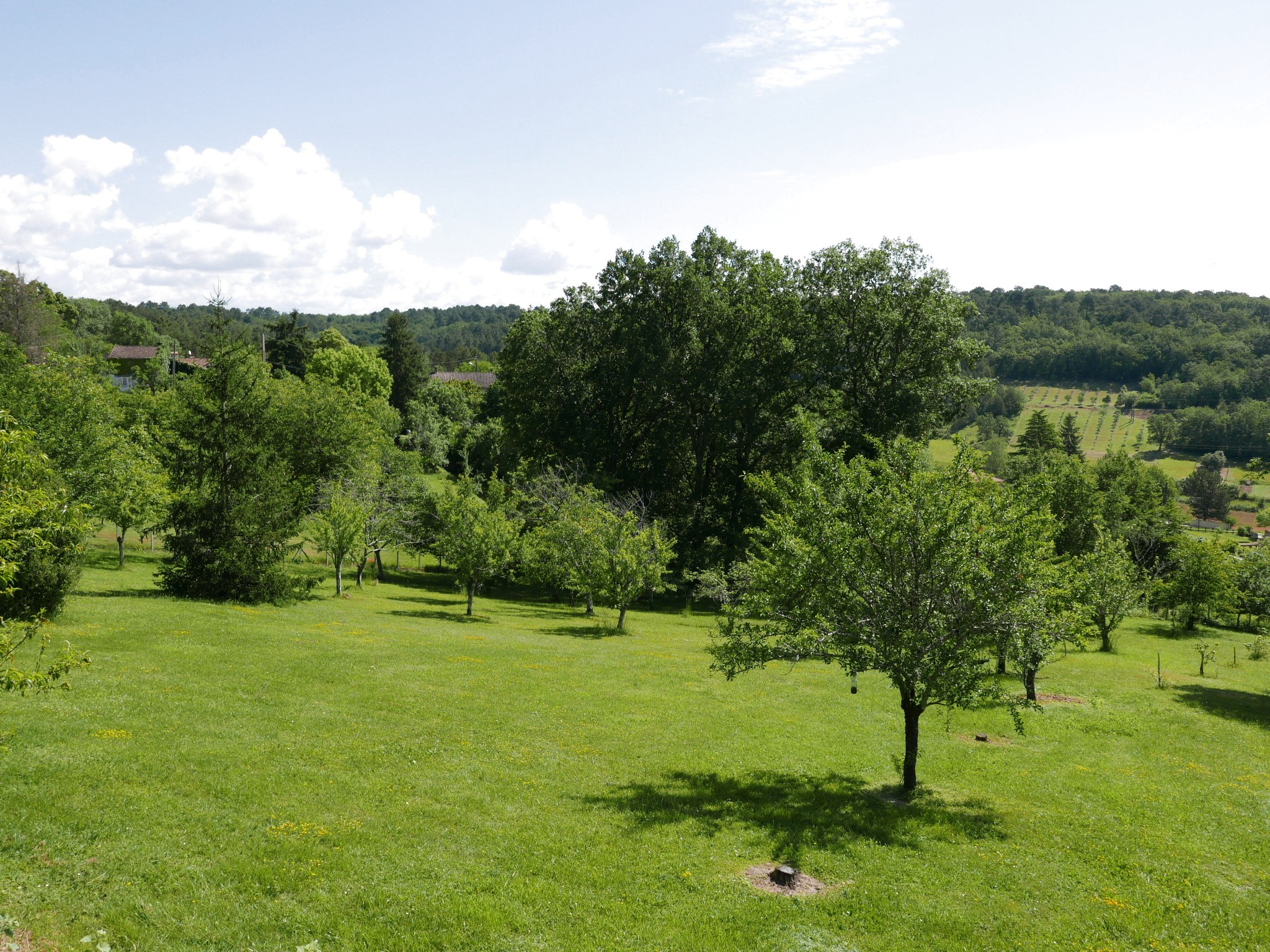 Vente Maison à Neuvic 4 pièces