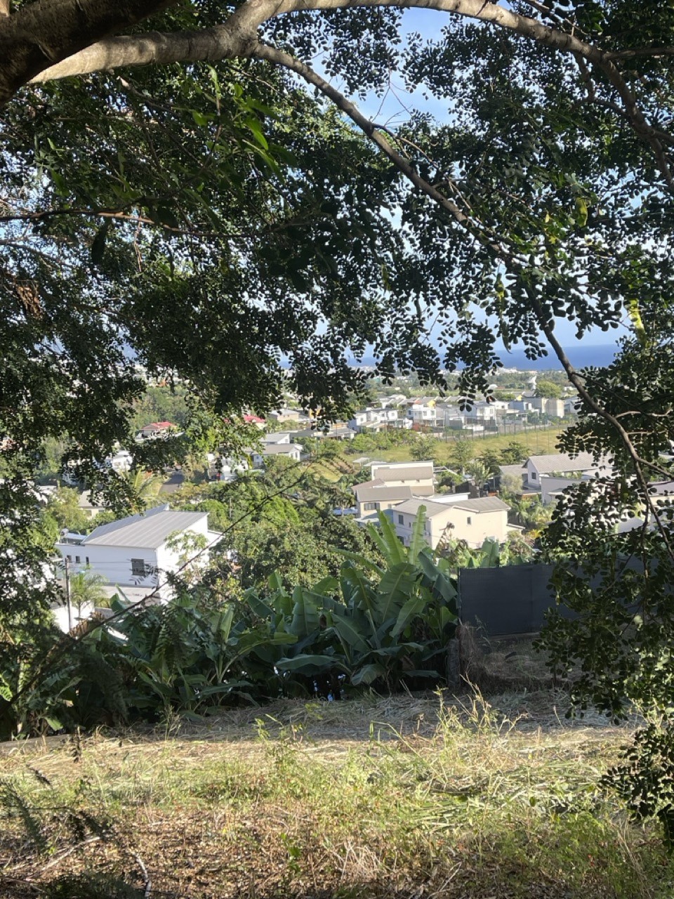 Vente Terrain à Sainte-Marie 0 pièce