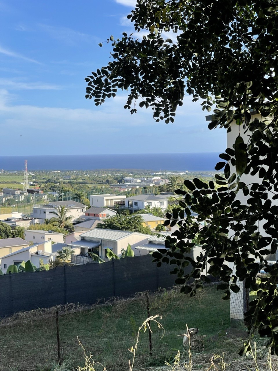 Vente Terrain à Sainte-Marie 0 pièce