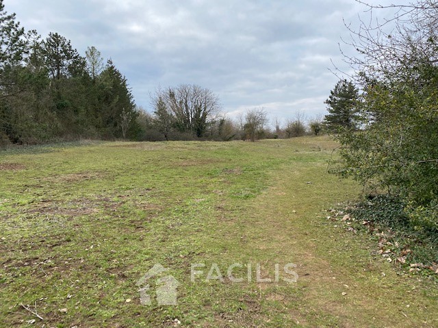 Vente Terrain à Migné-Auxances 0 pièce