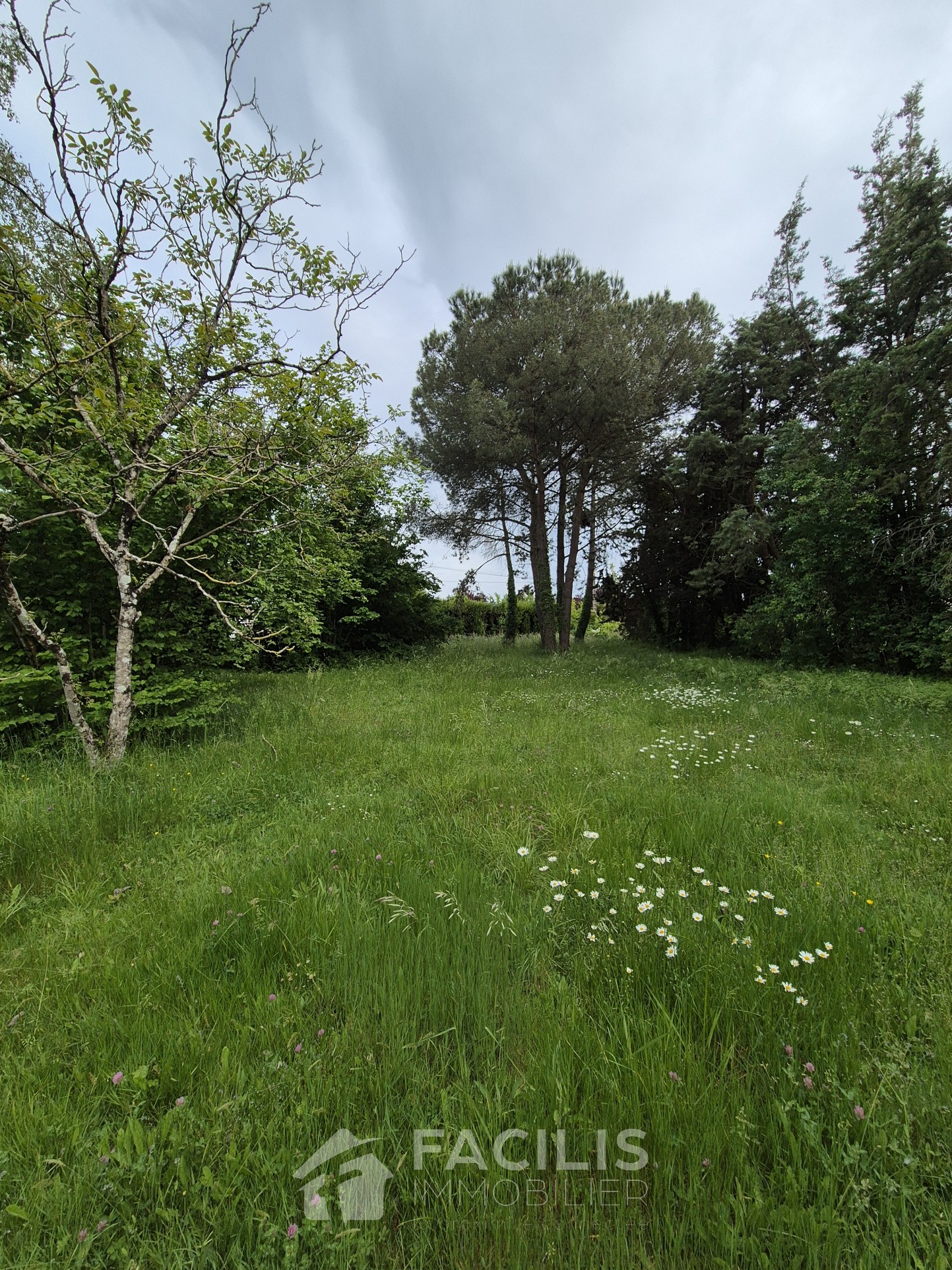 Vente Terrain à Mignaloux-Beauvoir 0 pièce