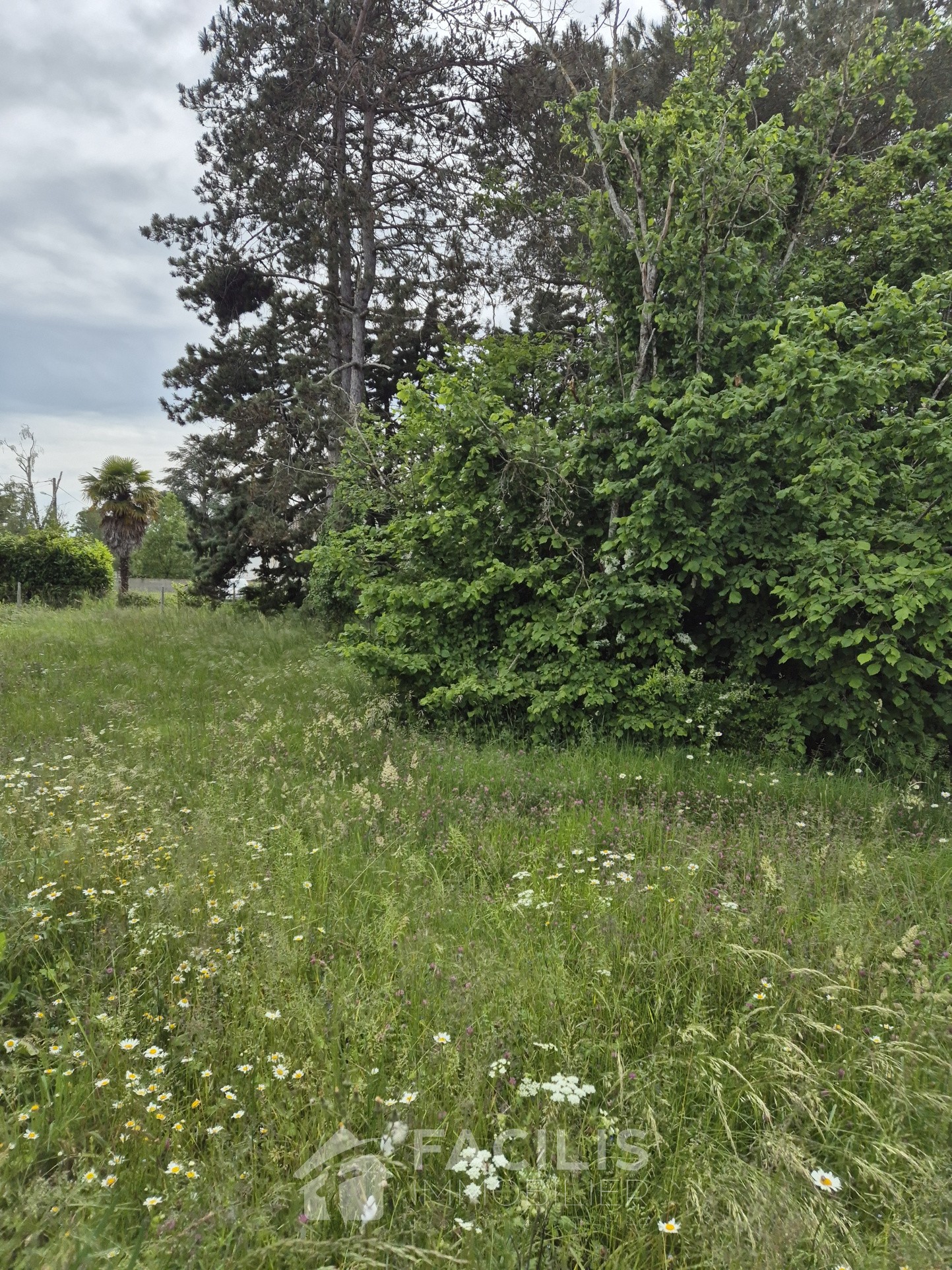 Vente Terrain à Mignaloux-Beauvoir 0 pièce