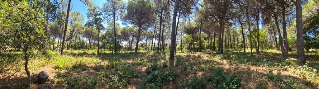 Vente Maison à Sainte-Maxime 4 pièces