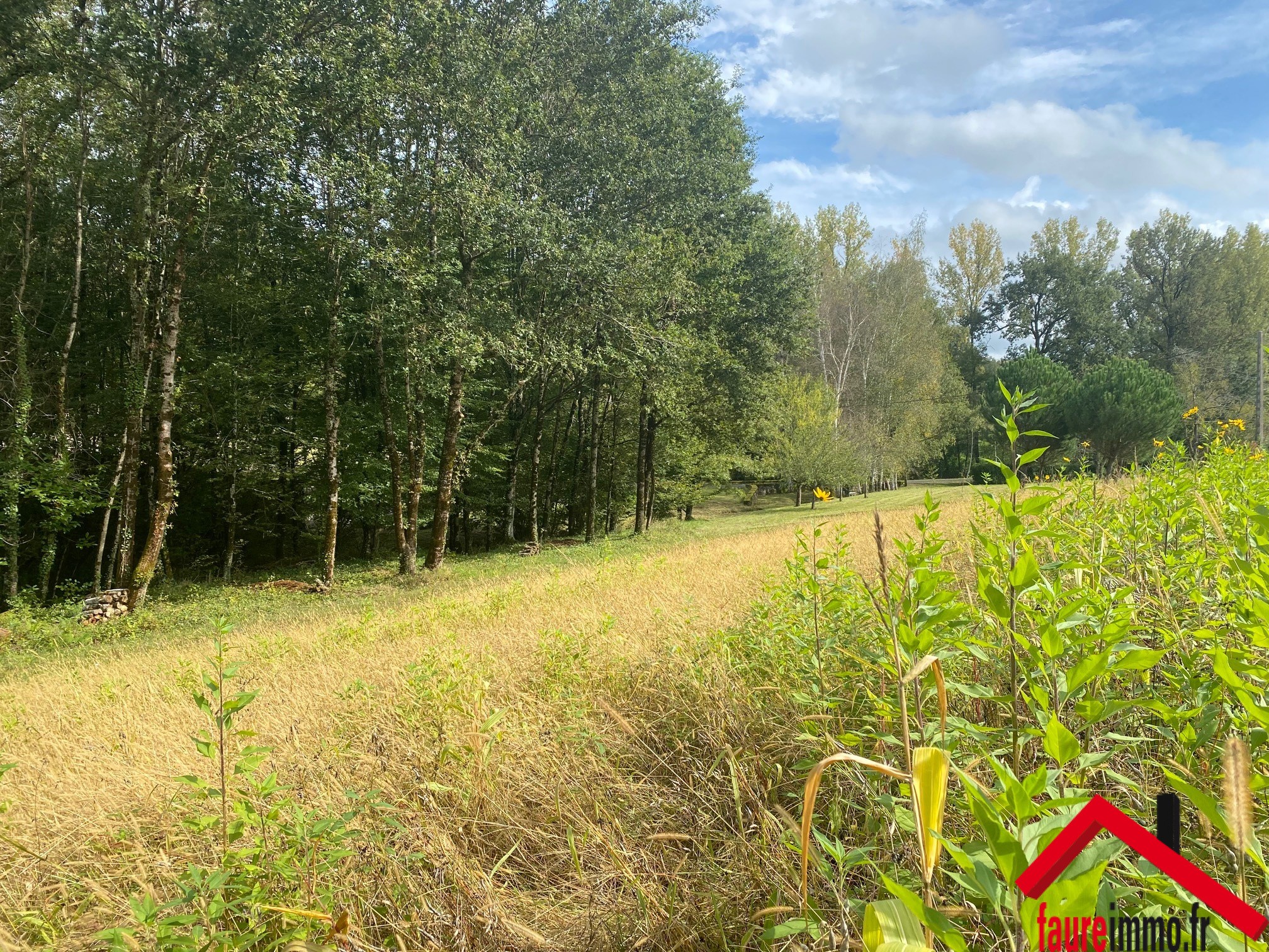 Vente Terrain à Saint-Pantaléon-de-Larche 0 pièce