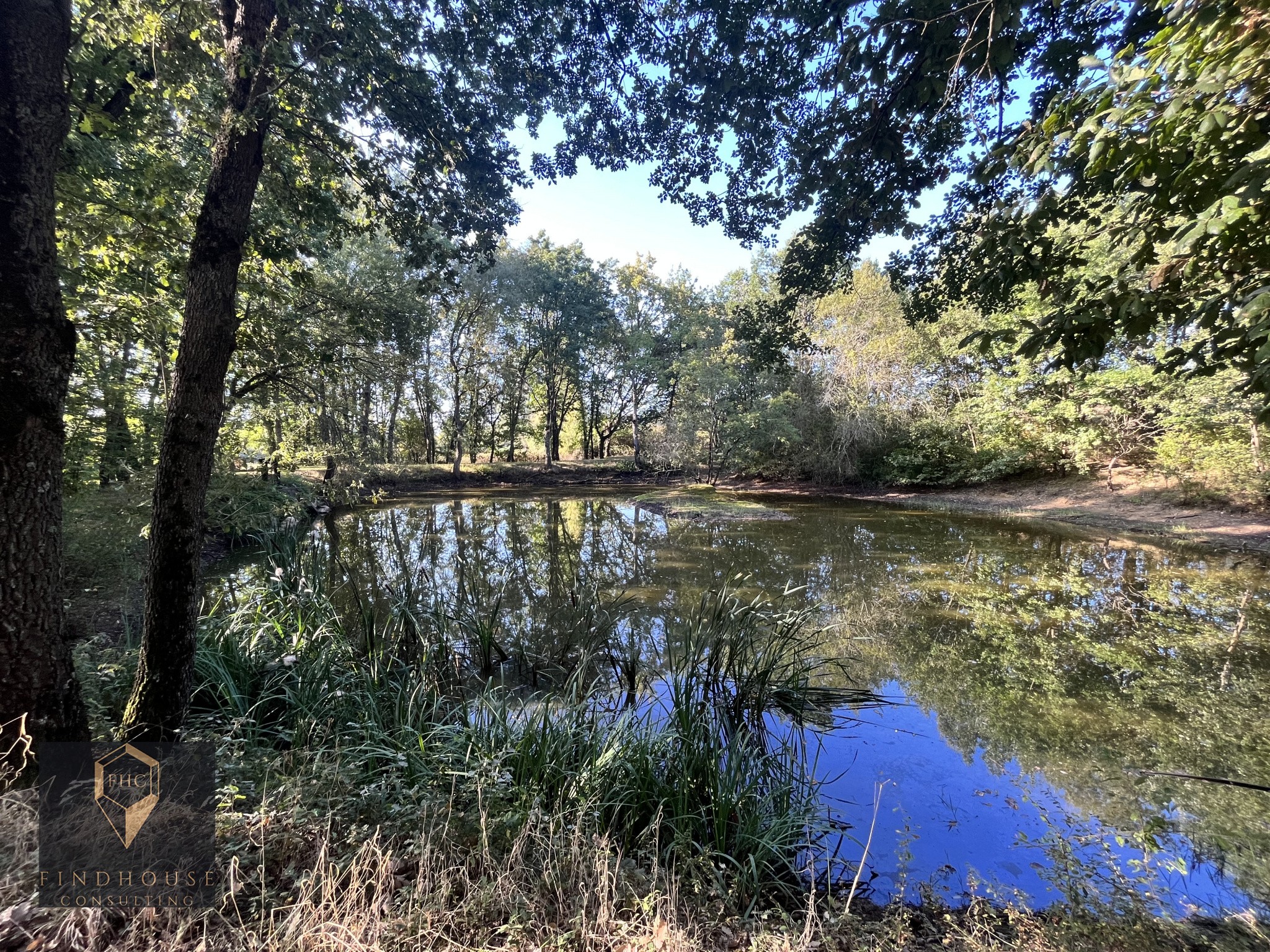 Vente Maison à l'Isle-en-Dodon 5 pièces