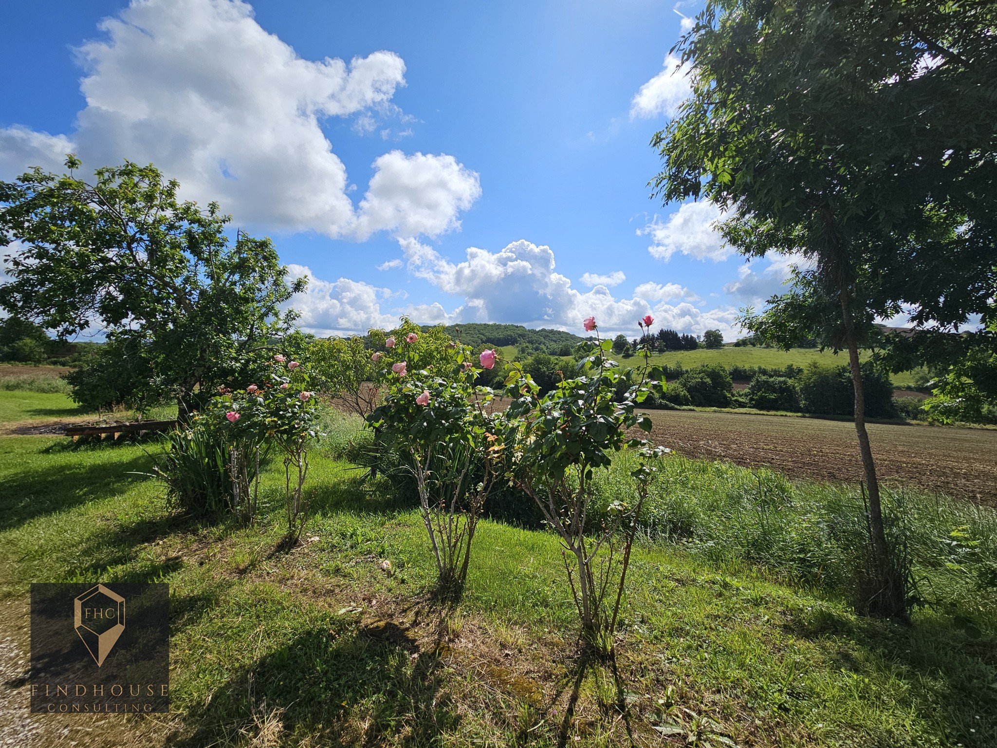 Vente Maison à l'Isle-en-Dodon 5 pièces