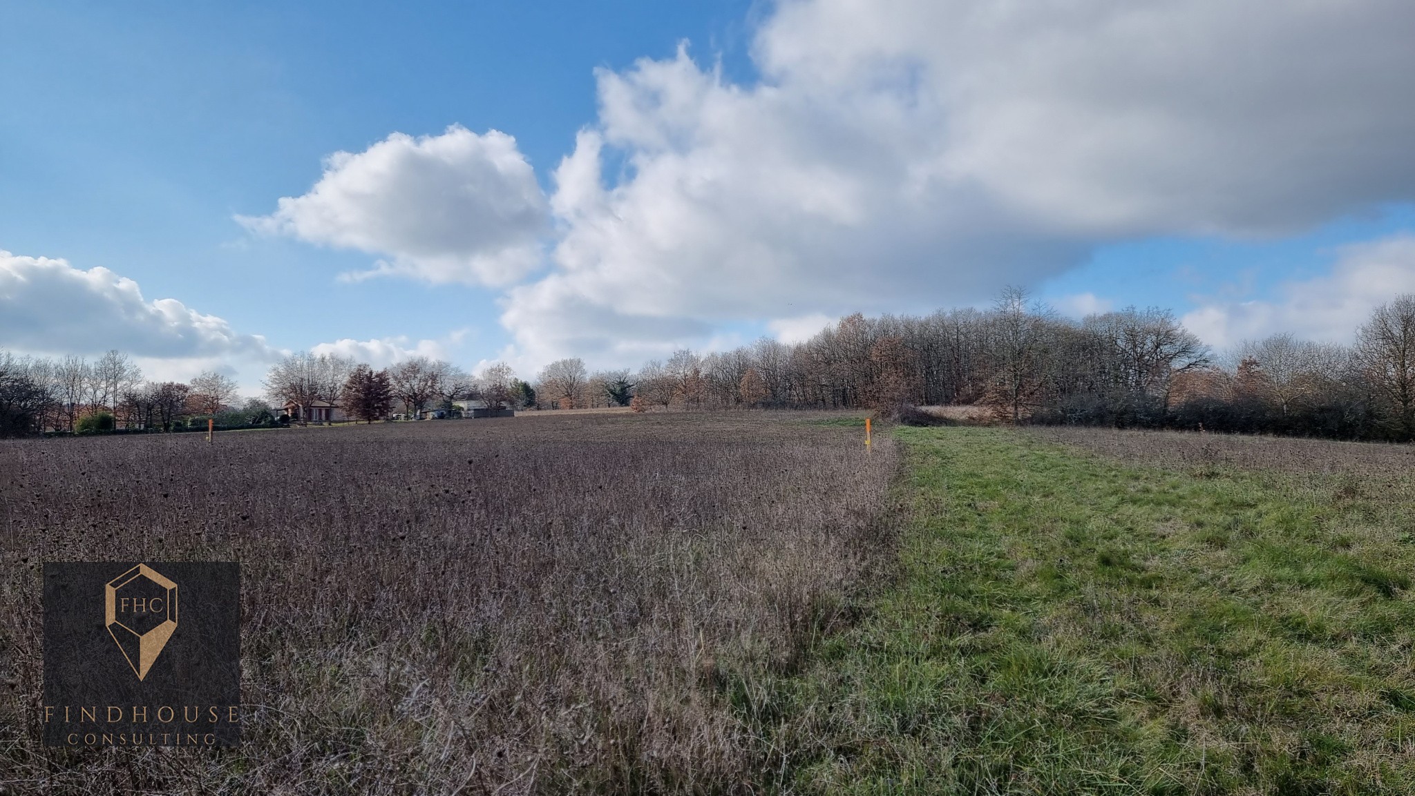 Vente Terrain à l'Isle-en-Dodon 0 pièce