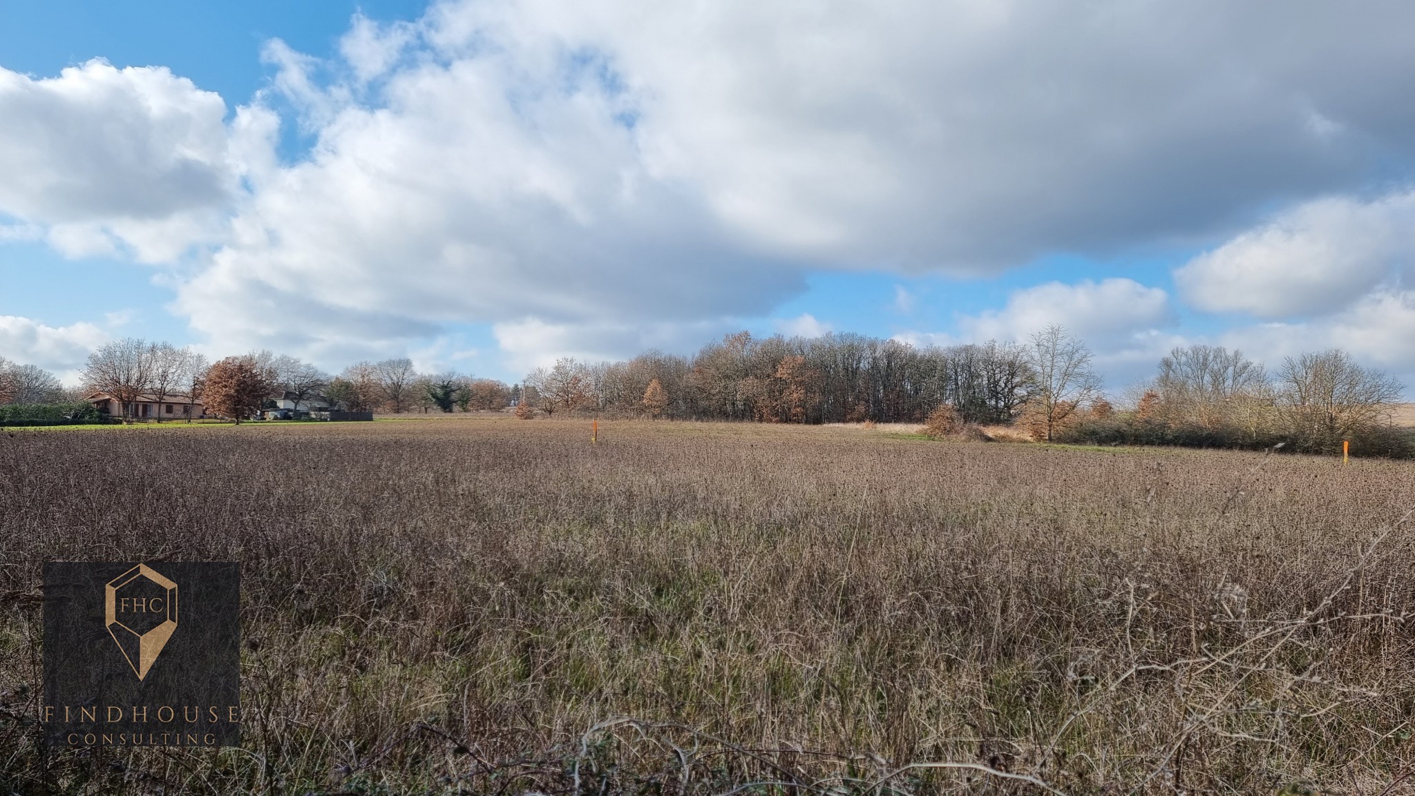 Vente Terrain à l'Isle-en-Dodon 0 pièce