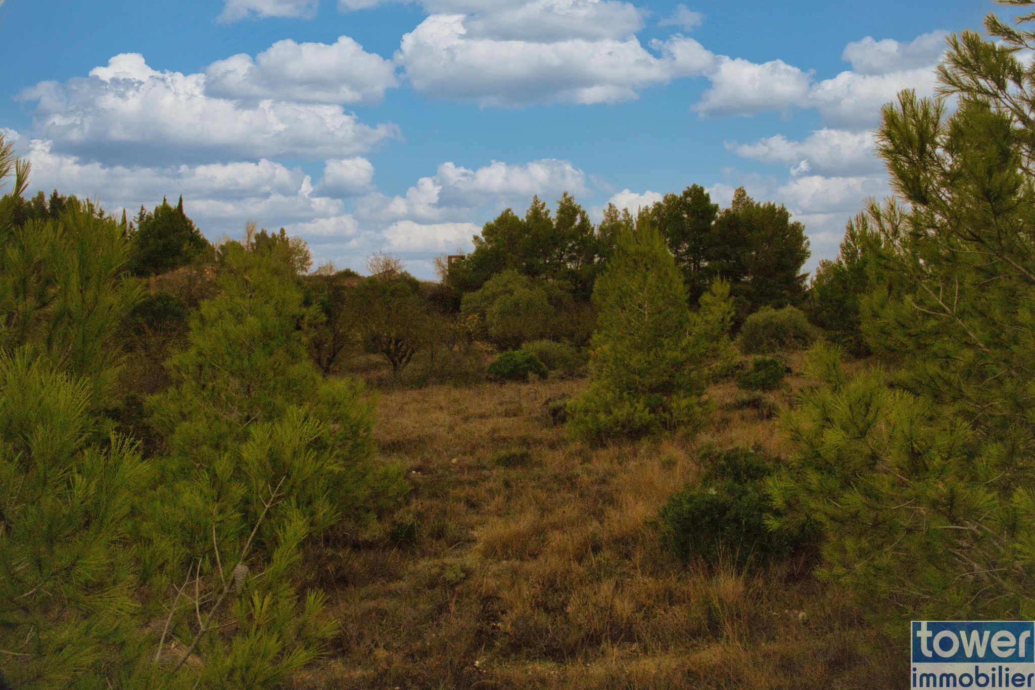 Vente Terrain à Salles-d'Aude 0 pièce