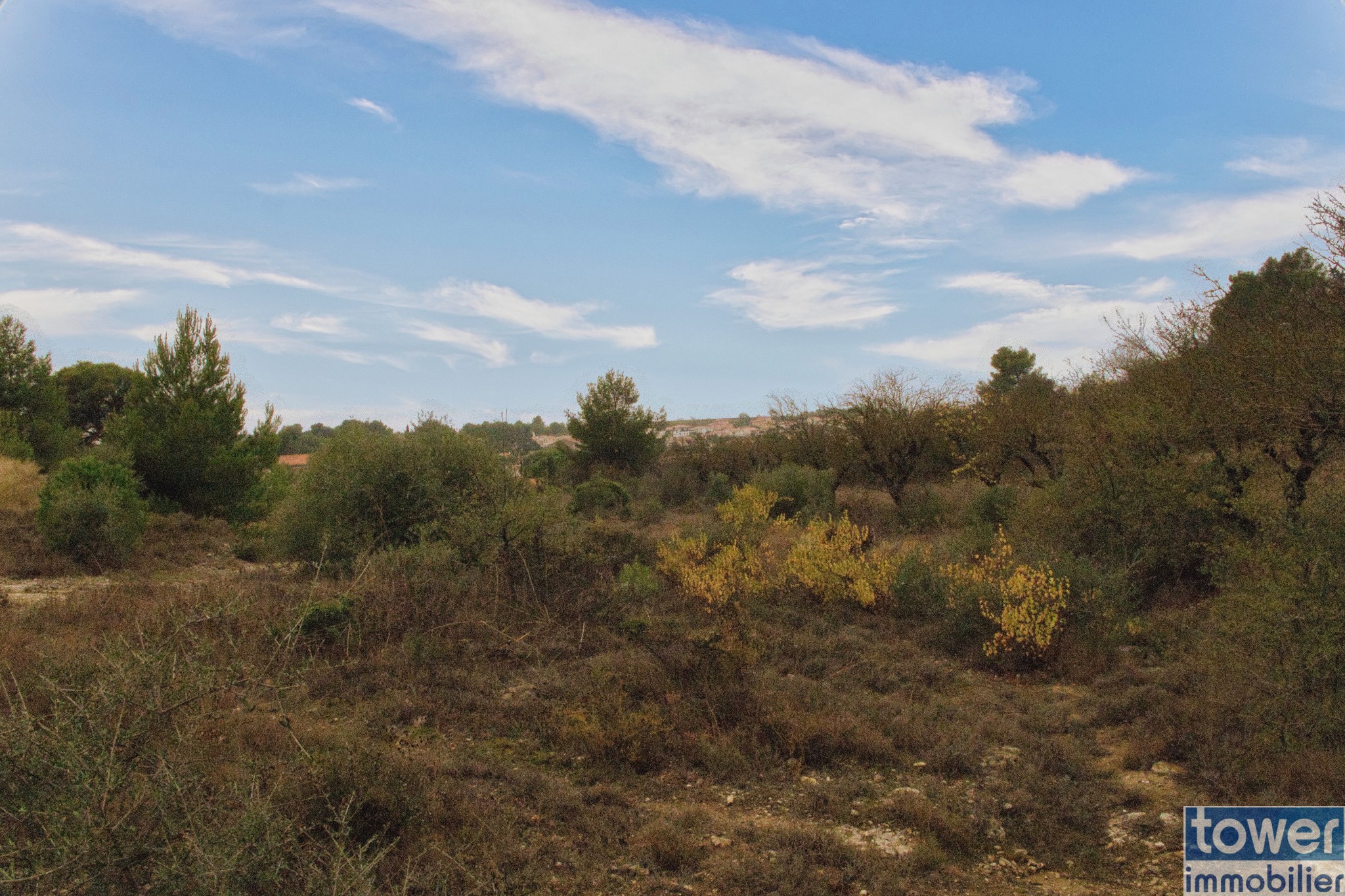 Vente Terrain à Salles-d'Aude 0 pièce