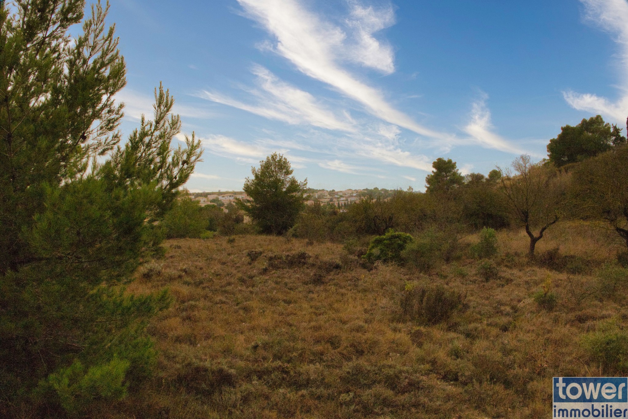 Vente Terrain à Salles-d'Aude 0 pièce