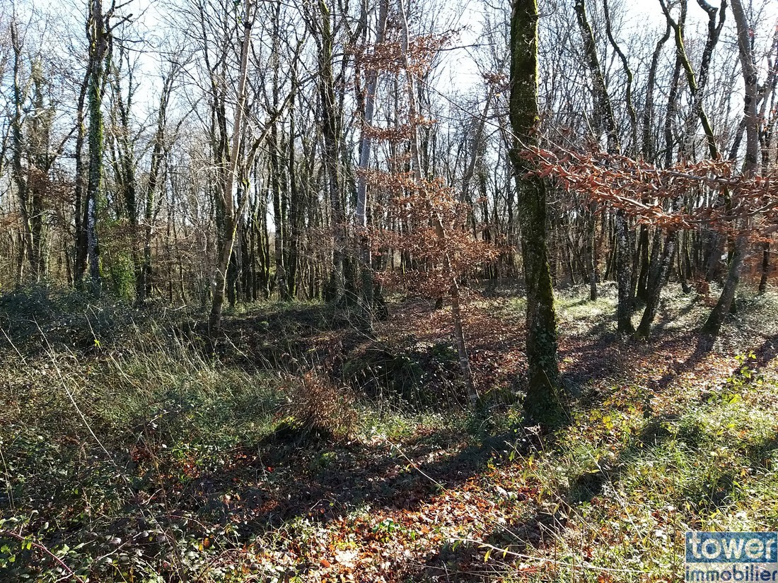 Vente Terrain à Pranzac 0 pièce