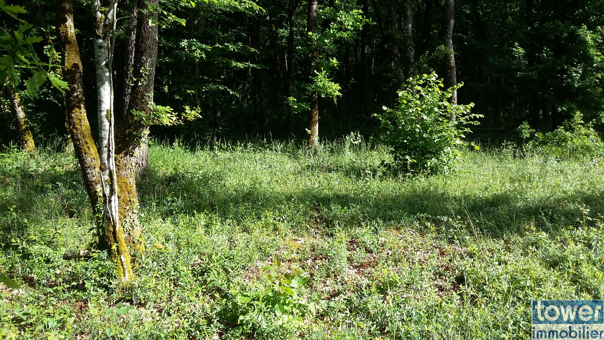 Vente Terrain à Pranzac 0 pièce