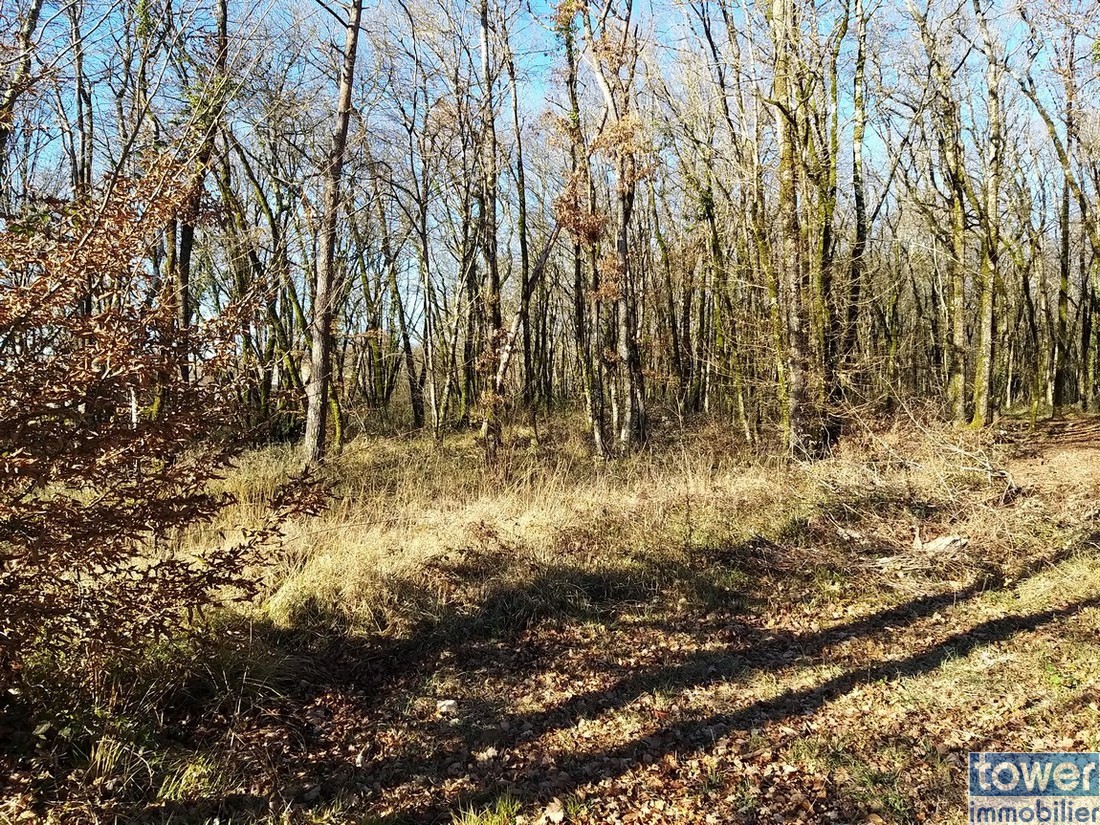 Vente Terrain à Pranzac 0 pièce