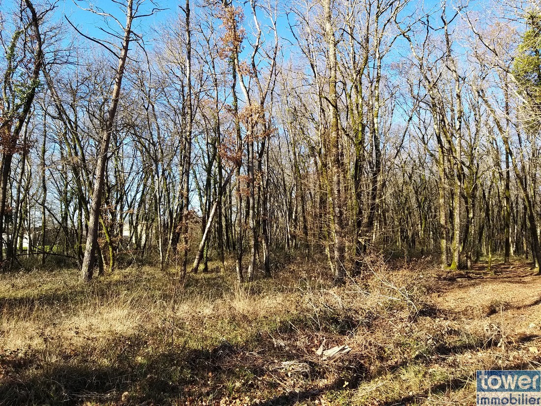 Vente Terrain à Pranzac 0 pièce