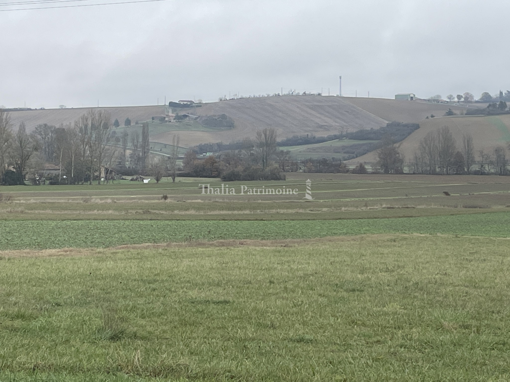 Vente Terrain à Saint-Sulpice-sur-Lèze 0 pièce