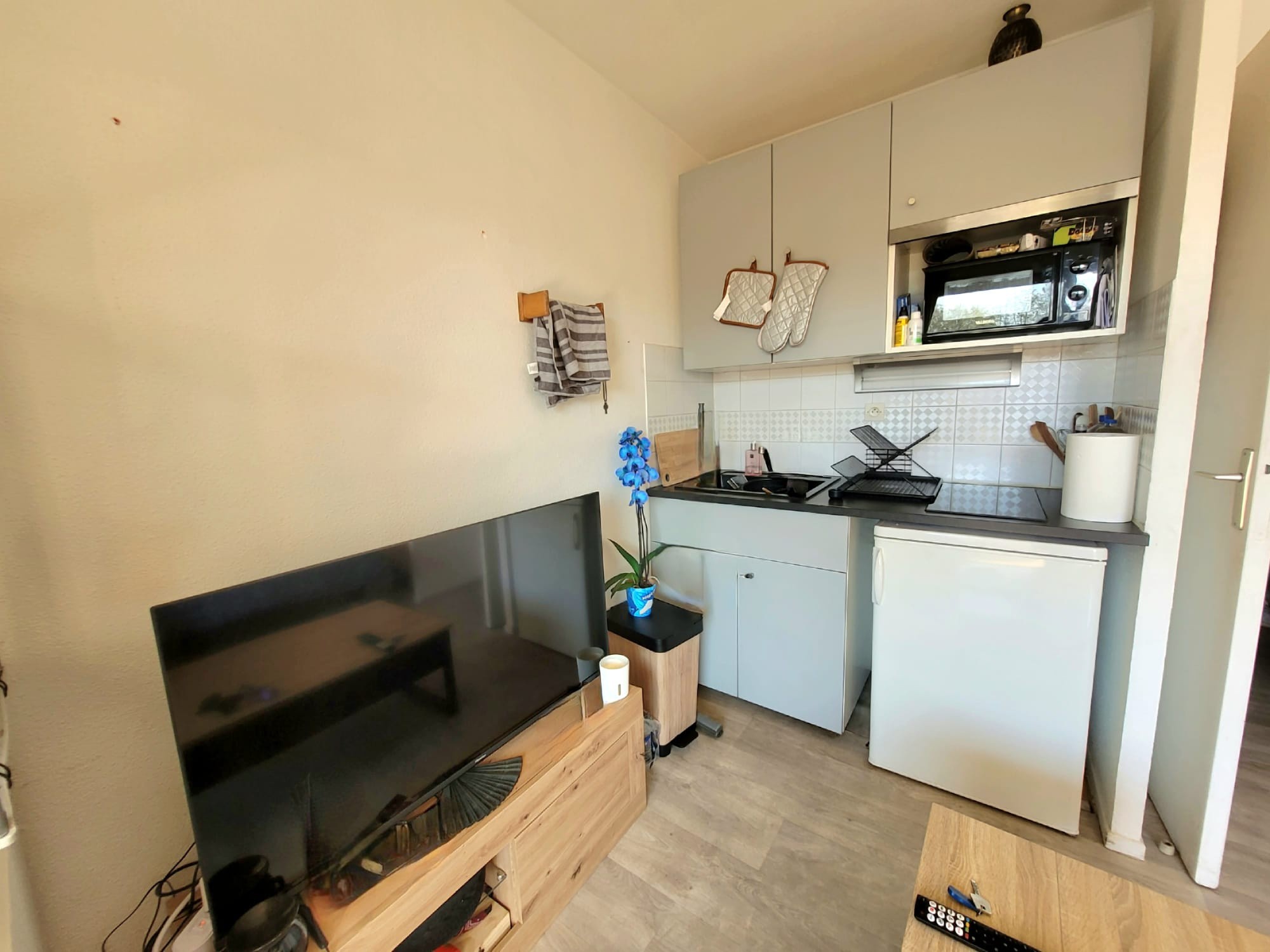 Location Appartement à le Beausset 1 pièce