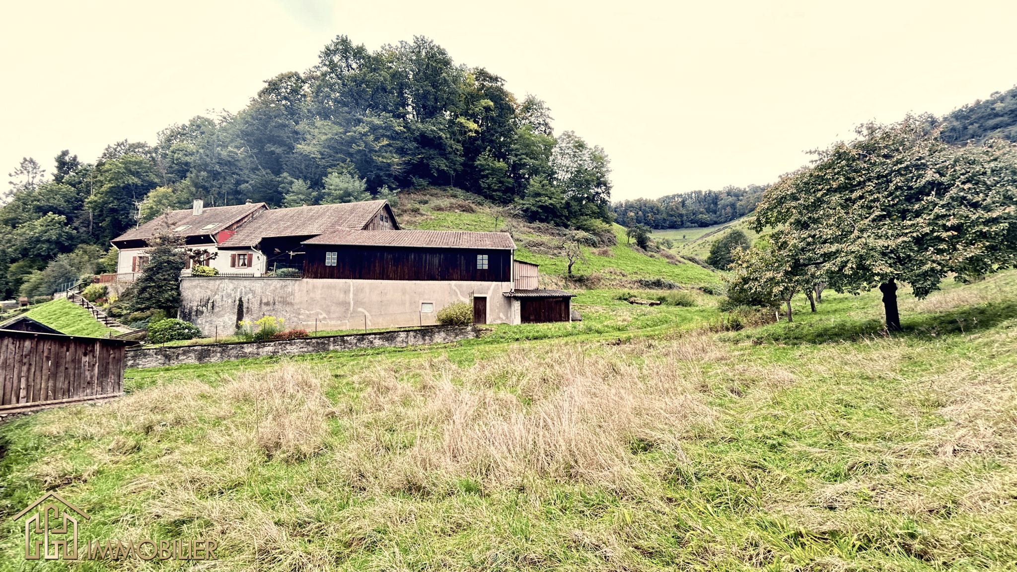 Vente Maison à Sainte-Marie-aux-Mines 8 pièces