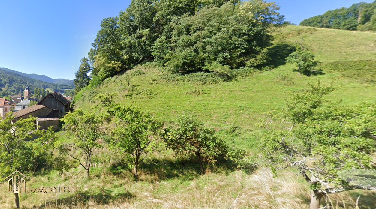 Vente Maison à Sainte-Marie-aux-Mines 8 pièces