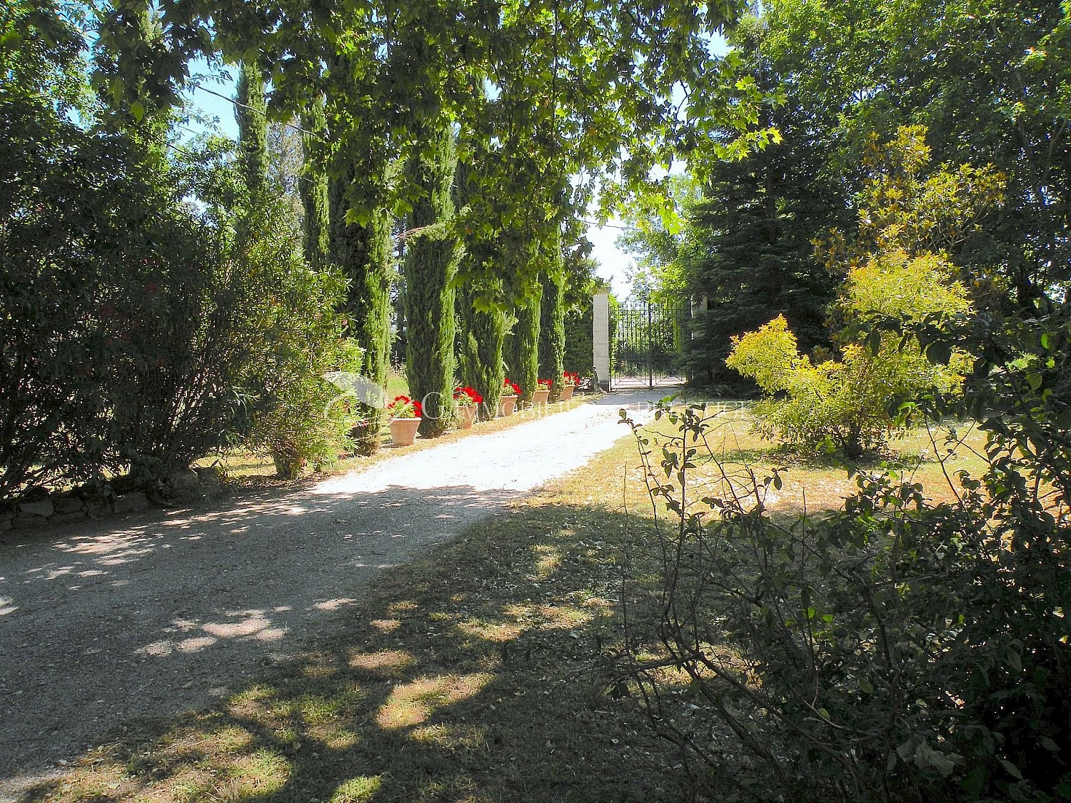 Vente Maison à Monteux 10 pièces