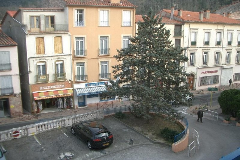 Location Appartement à Amélie-les-Bains-Palalda 1 pièce