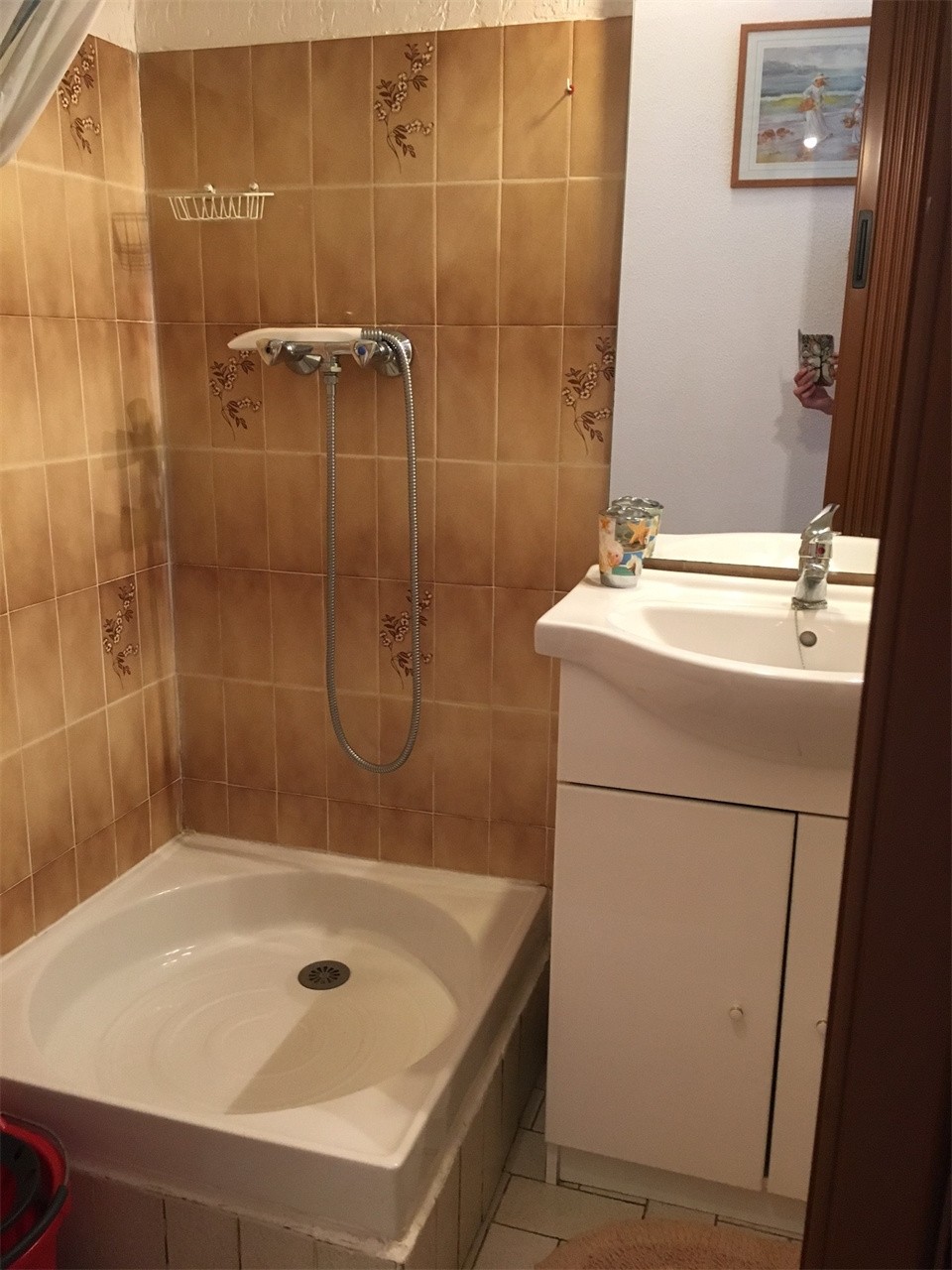 Location Appartement à Amélie-les-Bains-Palalda 1 pièce