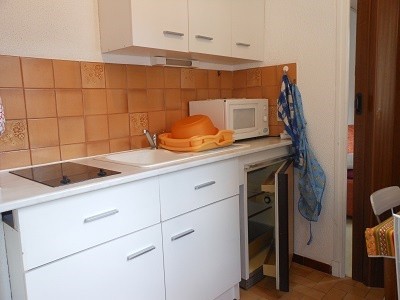 Location Appartement à Amélie-les-Bains-Palalda 1 pièce