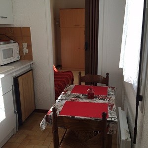 Location Appartement à Amélie-les-Bains-Palalda 1 pièce