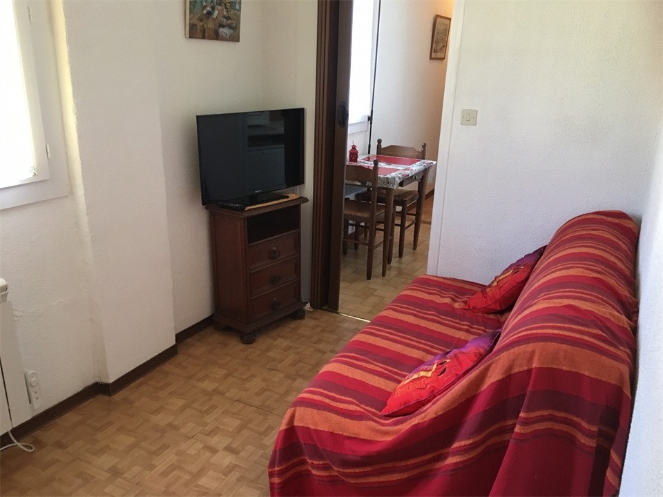 Location Appartement à Amélie-les-Bains-Palalda 1 pièce