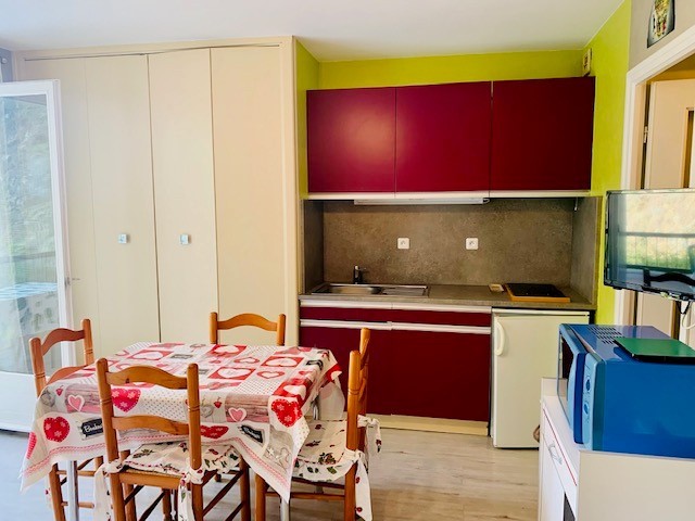 Location Appartement à Amélie-les-Bains-Palalda 1 pièce