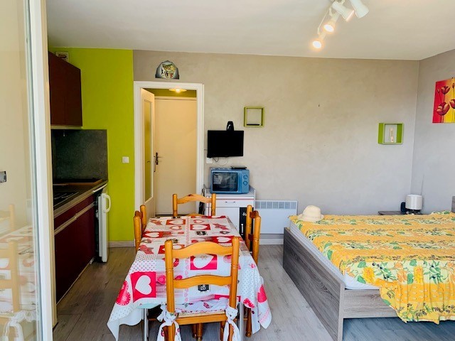 Location Appartement à Amélie-les-Bains-Palalda 1 pièce