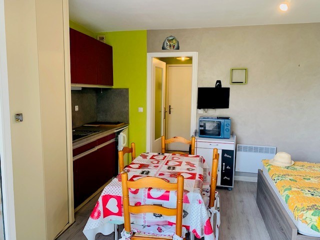 Location Appartement à Amélie-les-Bains-Palalda 1 pièce