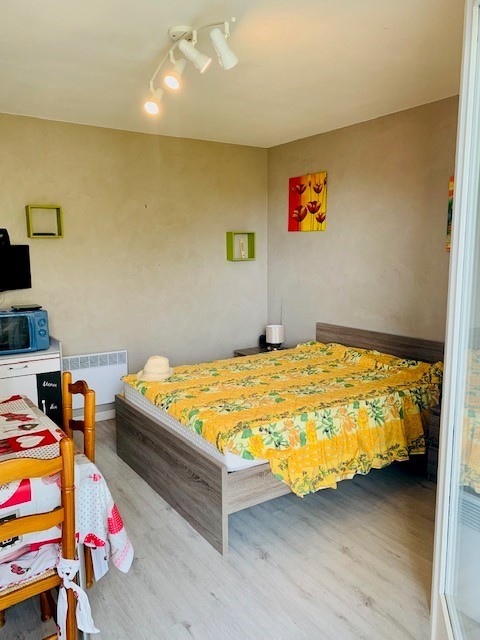 Location Appartement à Amélie-les-Bains-Palalda 1 pièce