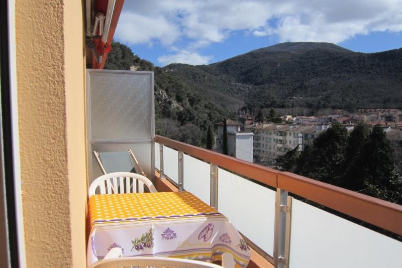 Location Appartement à Amélie-les-Bains-Palalda 1 pièce