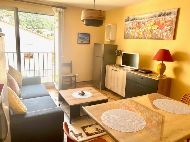 Location Appartement à Amélie-les-Bains-Palalda 1 pièce