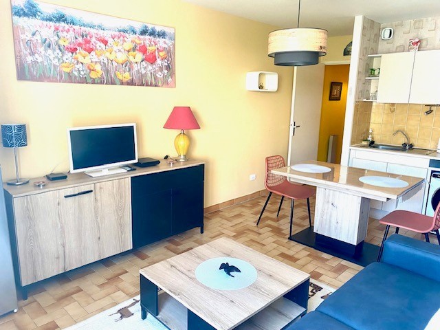 Location Appartement à Amélie-les-Bains-Palalda 1 pièce